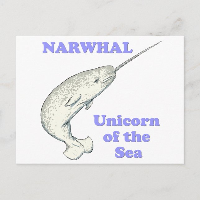 Narwhal unicorn of the sea postcard (Front)