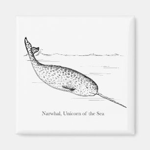Narwhal Whale Unicorn of the Sea Magnet