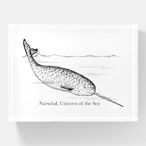 Narwhal Whale Unicorn of the Sea Paperweight