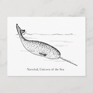 Narwhal Whale Unicorn of the Sea Postcard