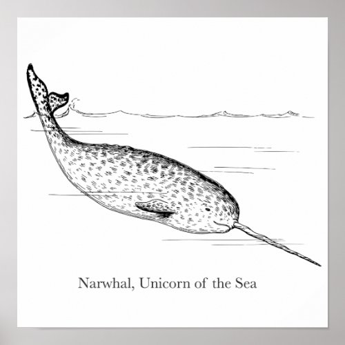 Narwhal Whale Unicorn of the Sea Poster