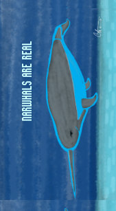 are narwhals real gifts