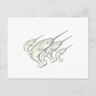 narwhals postcard