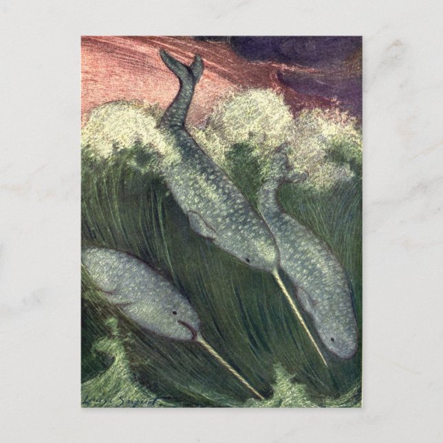 Narwhals, Vintage Marine Life Whales Ocean Animals Postcard (Front)