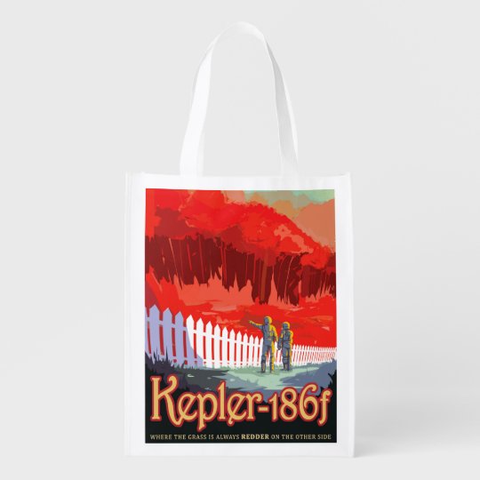 nasa side bag