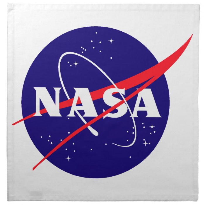 NASA Meatball Logo Napkin