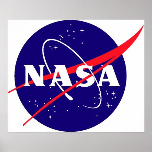 NASA Meatball Logo Poster