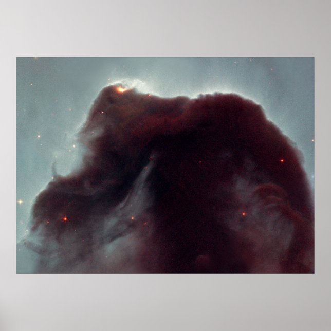 NASA - The Horsehead Nebula Poster (Front)