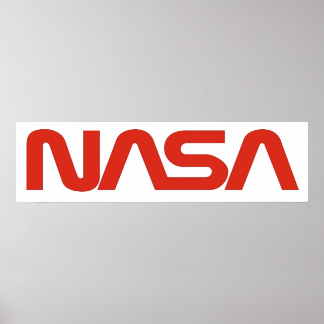 NASA Worm (Snake) Logo Poster (Front)