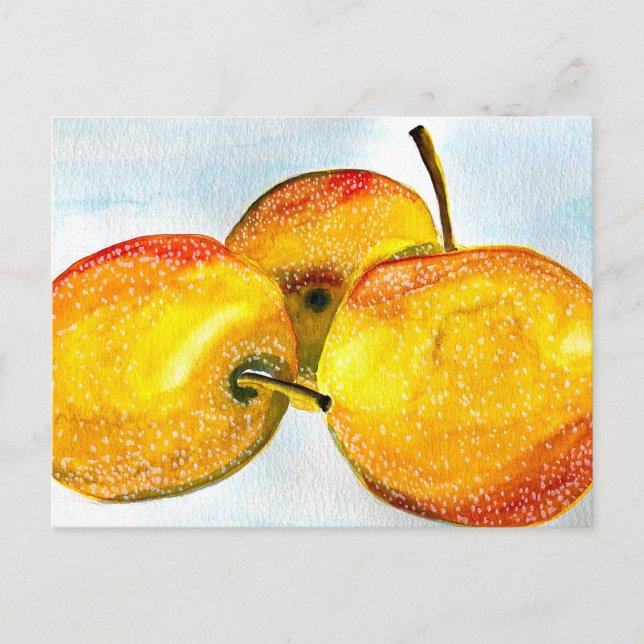 Nashi pears yellow watercolor fruit postcard (Front)