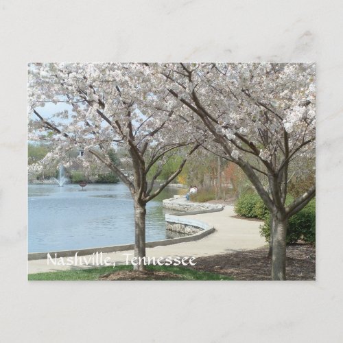 Nashville _ Centennial Park in Bloom Postcard