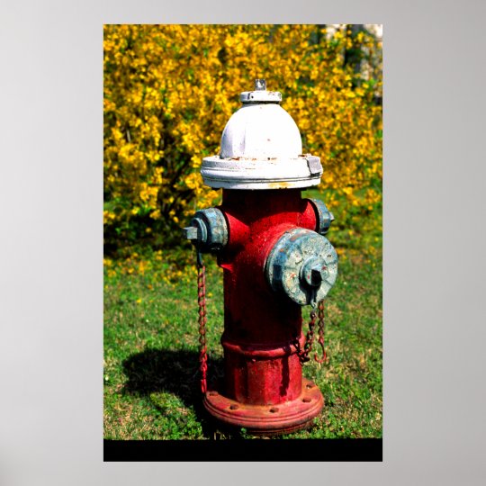 Nashville fire hydrant poster | Zazzle.com