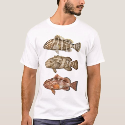 Nassau Goliath and Red Grouper T_shirt