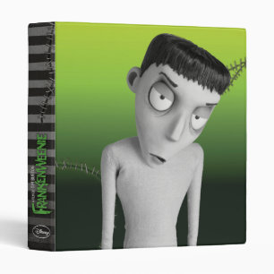 Nassor 3 Ring Binder