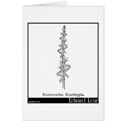 Nasticreechia Krorluppia. Cards (Front)