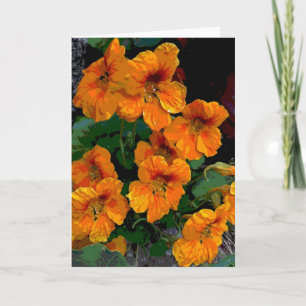 Nasturtium Card