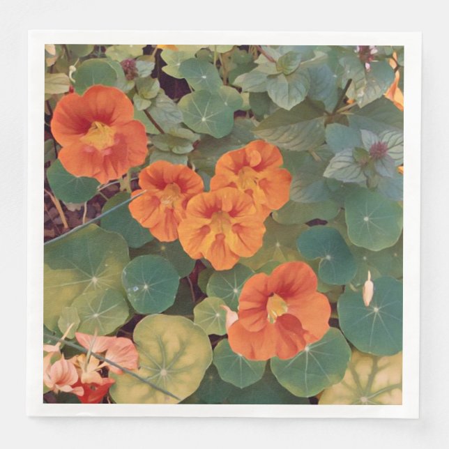 Nasturtium Garden Paper Dinner Napkins (Front)