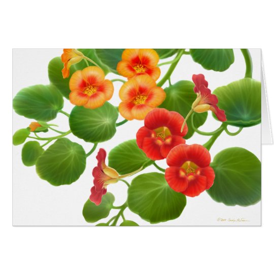 Nasturtium Garden Vines Card