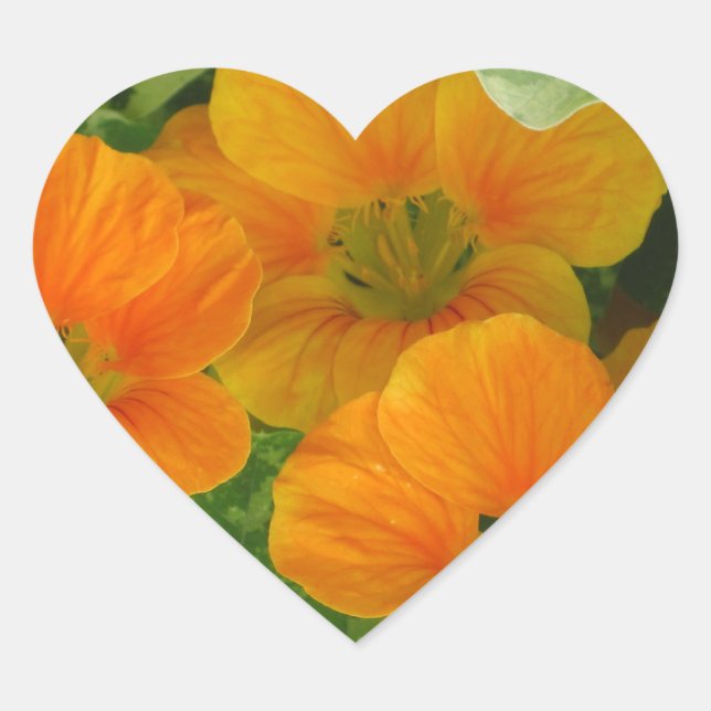 Nasturtium Heart Sticker (Front)