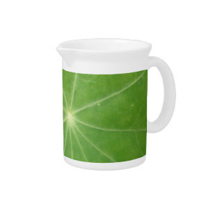 Nasturtium Leaf Pitcher
