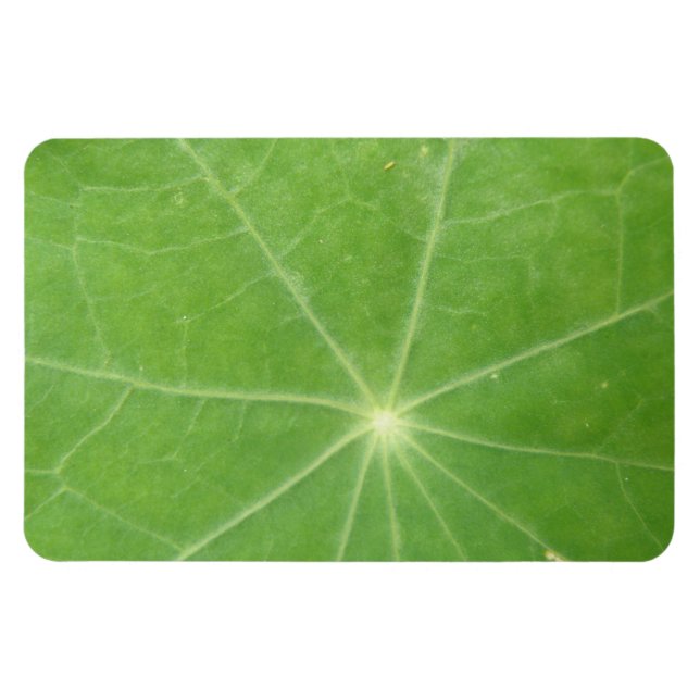 Nasturtium Leaf Premium Magnet (Horizontal)