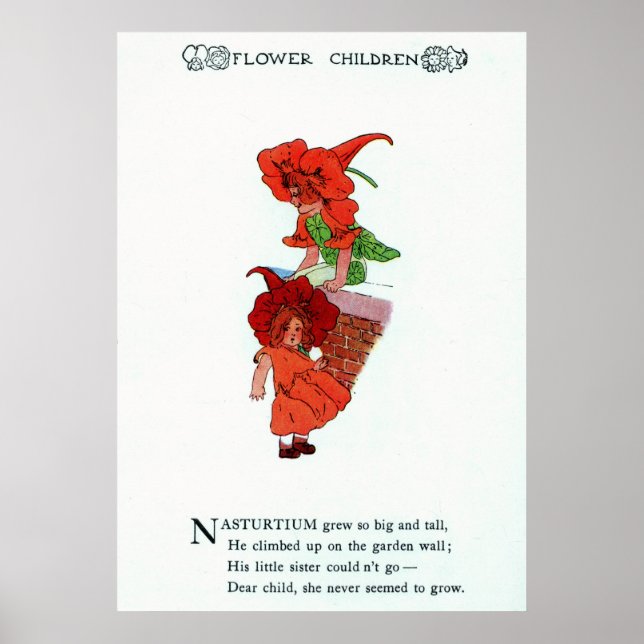 Nasturtium Poster (Front)