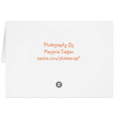 Nasturtium Thank You Card (Back Horizontal)
