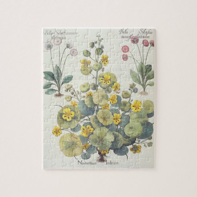 Nasturtiums and Daisies: 1.Nasturtium Indicum; 2.B Jigsaw Puzzle (Vertical)