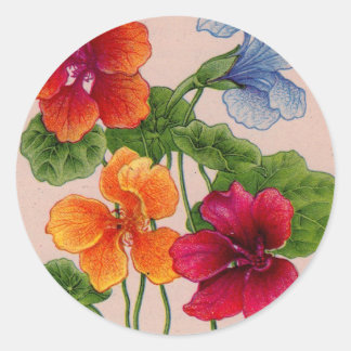 nasturtiums classic round sticker