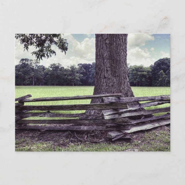 Natchez Split Rail Fence Postcard (Front)