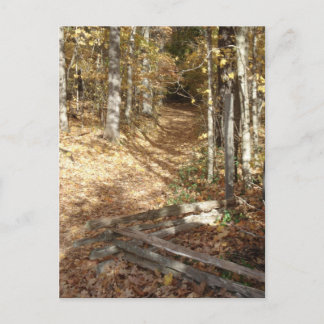 Natchez Trace Trail in Autumn Postcard