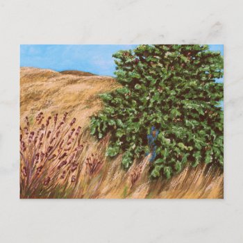Nathanael And The Fig Tree Postcard by AnchorOfTheSoulArt at Zazzle