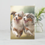 National Australian Shepherd Day, Aussie Dog Holiday Card