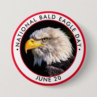 June 20: National Bald Eagle Day - Web-Holidays.com