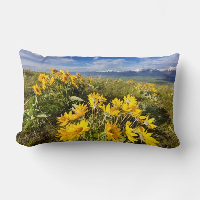 National Bison Range Lumbar Pillow (Front)