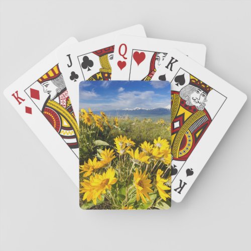 National Bison Range Poker Cards