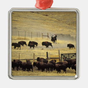 National Bison Range Roundup in Montana Metal Ornament