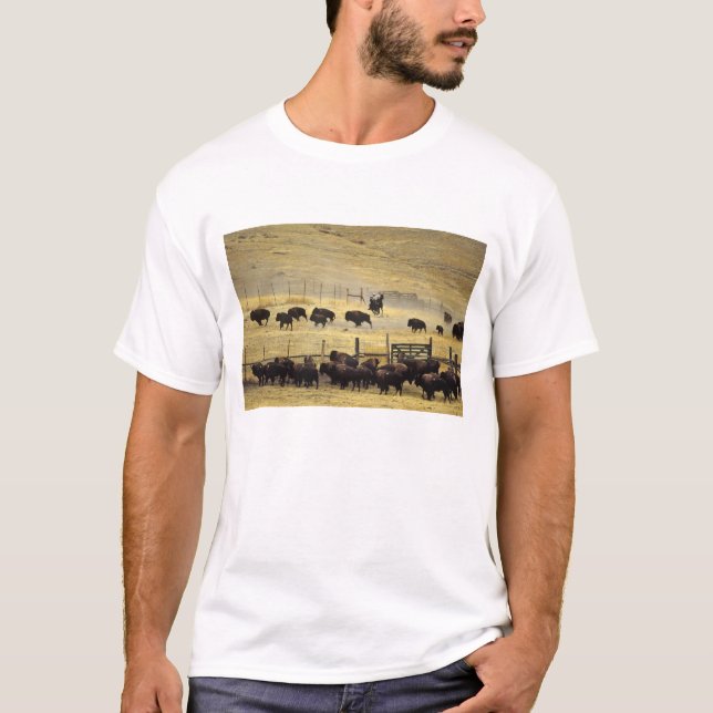 National Bison Range Roundup in Montana T-Shirt (Front)