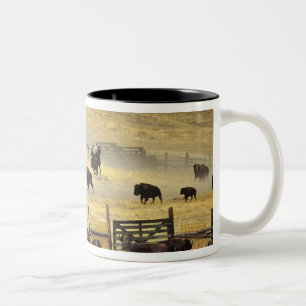 National Bison Range Roundup in Montana Two-Tone Coffee Mug
