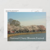National Cherry Blossom Festival Washington DC 003 Postcard (Front/Back)