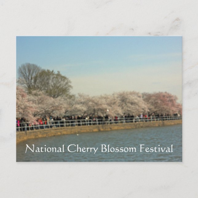National Cherry Blossom Festival Washington DC 003 Postcard (Front)