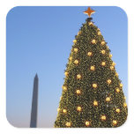 National Christmas Tree and Washington Monument Square Sticker