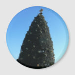 National Christmas Tree Magnet