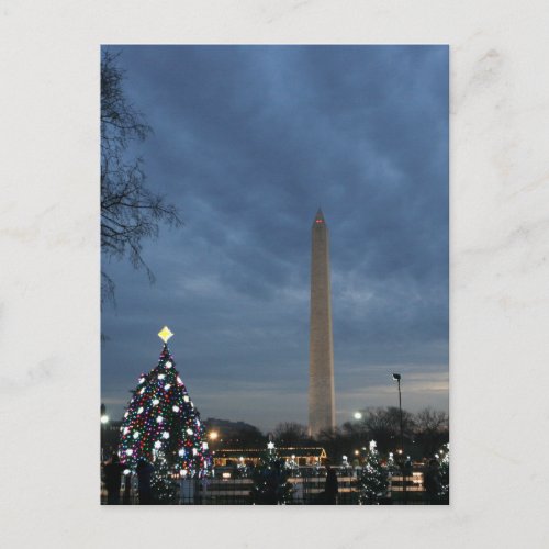 National Christmas Tree Washington Monument Holiday Postcard