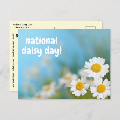 National Daisy Day January 28 Postcard