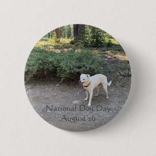 National Dog Day August 26 Button