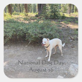 National Dog Day August 26 Square Sticker