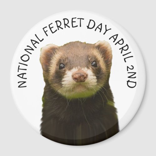 National Ferret Day April 2nd Holiday Magnet