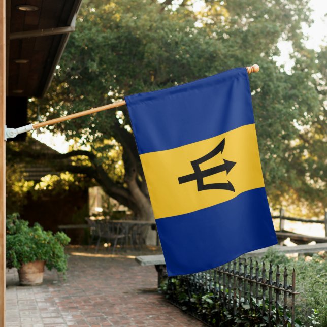 National flag of Barbados (In SItu)