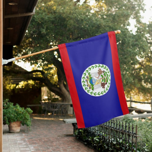 National flag of Belize (In SItu)